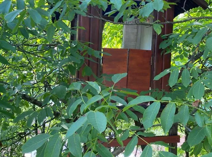 Apartma Leban Na Soci