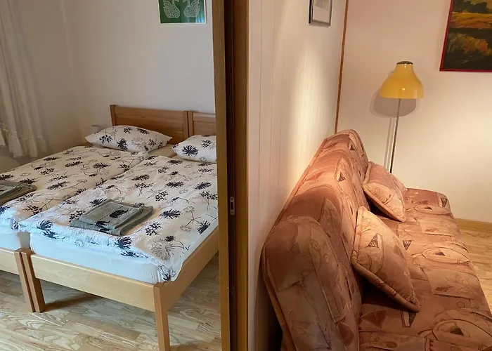 公寓 Apartma Leban Na Soci *